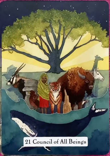 The Witches Wisdom Tarot